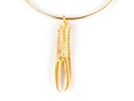 Colar TUENT ELASTIC #dourado brilhante Online now